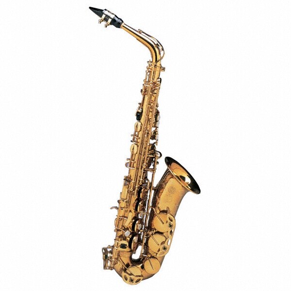 Alto Saxophone Drawing