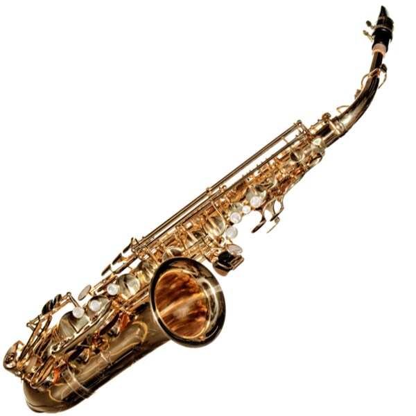 RS Berkeley ALS501 Eb Lacquer Alto Saxophone